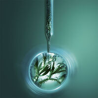 Powercell Skinmunity Eye Care  15ml-209878 Powercell Skinmunity Eye Care  15ml-209878 2